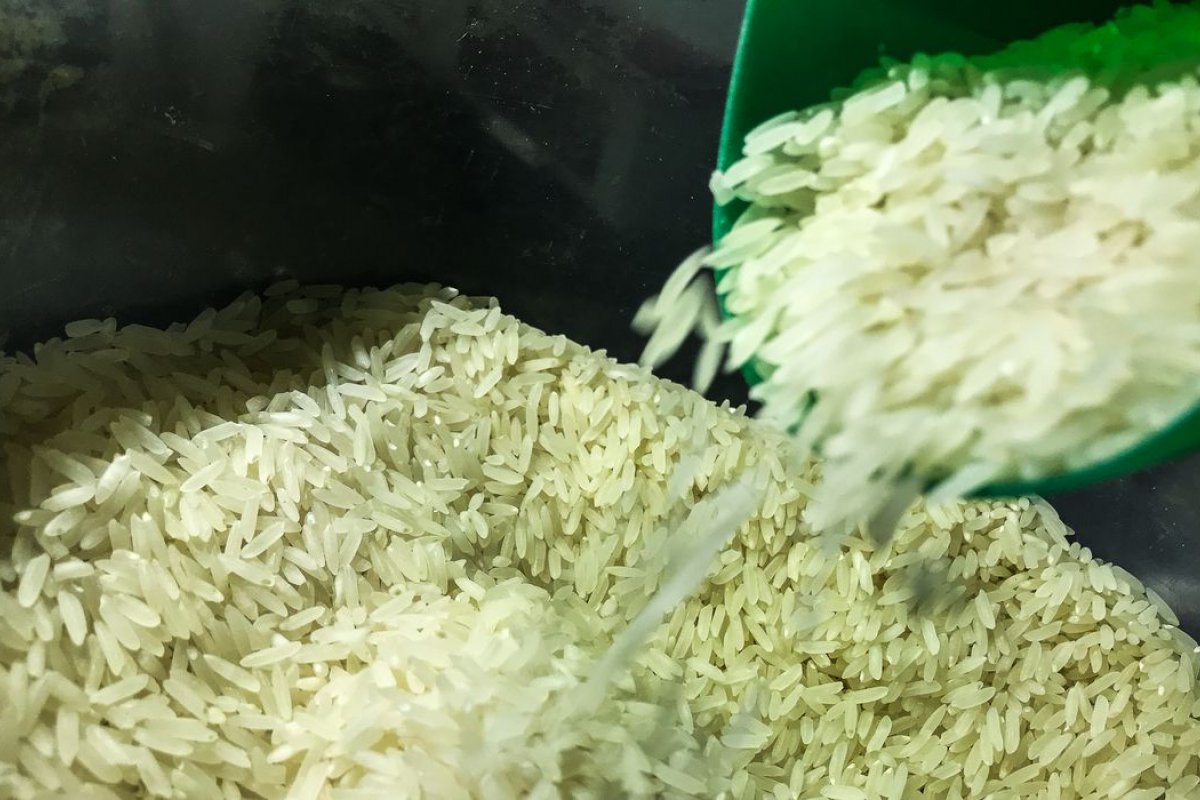 Governo Federal corta impostos de importação de arroz para reduzir escalada de preços
