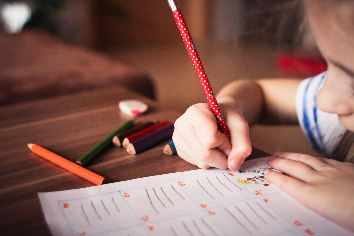 Defensores públicos tentarão barrar no Senado projeto que regulamenta o homeschooling