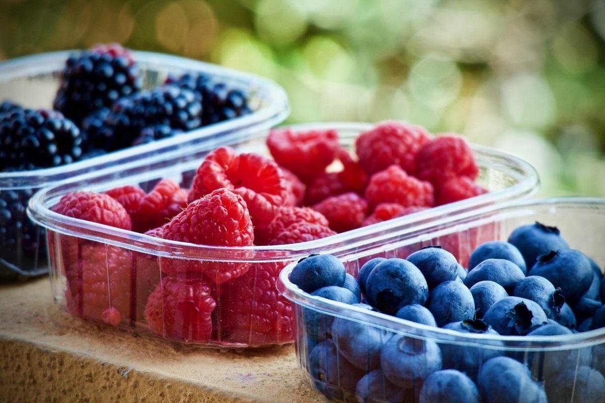 Americanos montam cardápio para dieta da longevidade; veja