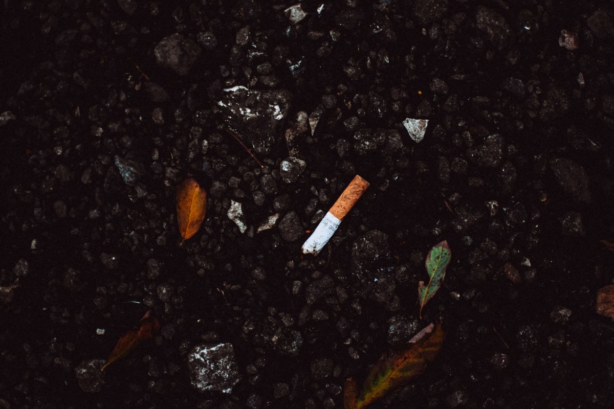 Fiocruz: campanha alerta para impactos do tabaco no meio ambiente