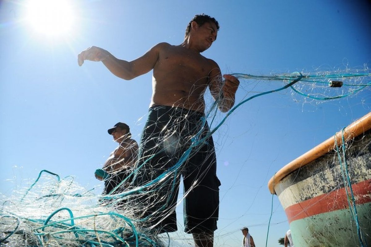 Governo suspende mais de 12 mil licenças irregulares de pescadores profissionais