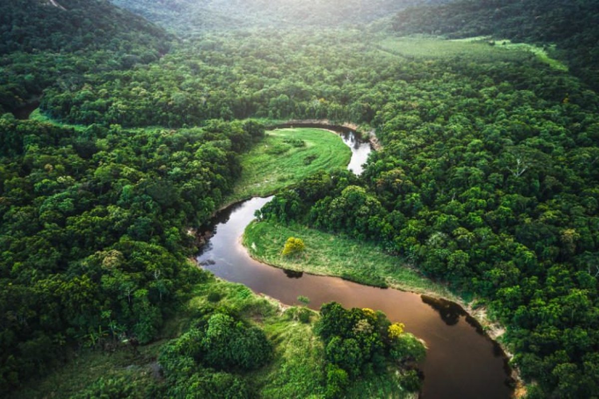 Região amazônica receberá R$ 380 milhões do Governo Federal para pesquisas científicas