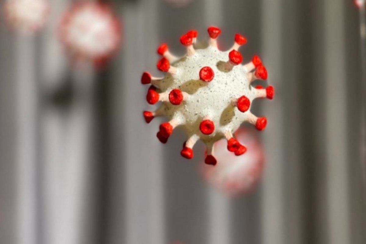 Universidade brasileira detecta duas novas variantes Ômicron do novo coronavírus 