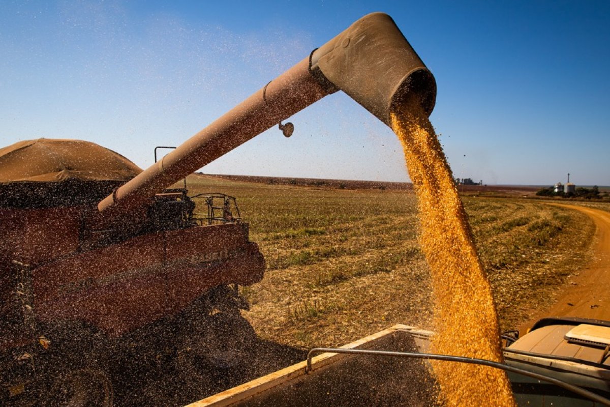 Agronegócio baiano fecha primeiro trimestre de 2022 em alta! 