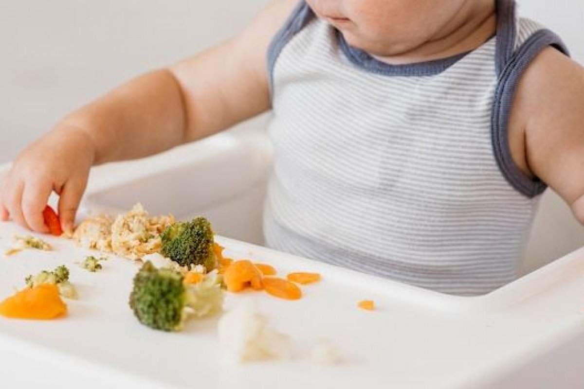 Pediatra alerta: Introdução Alimentar é um marco no desenvolvimento do bebê 
