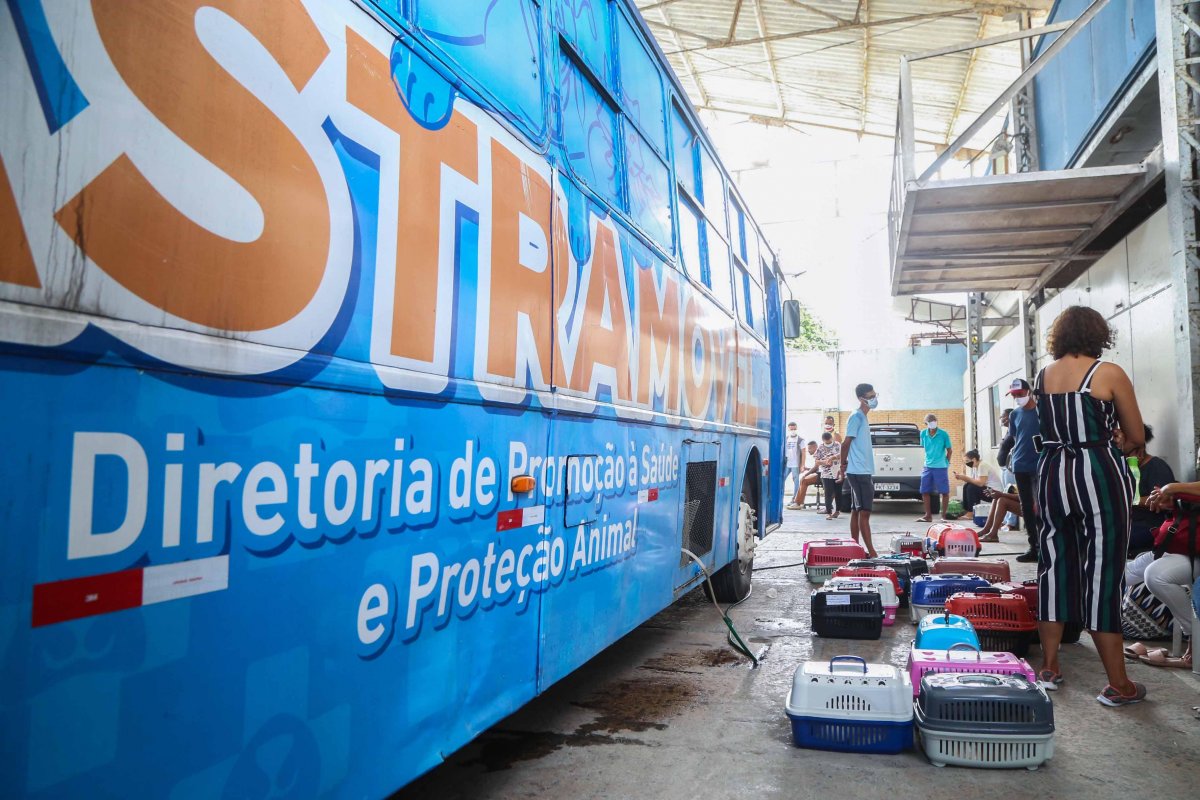 Castramóvel realiza atendimento na Avenida San Martin, em Salvador