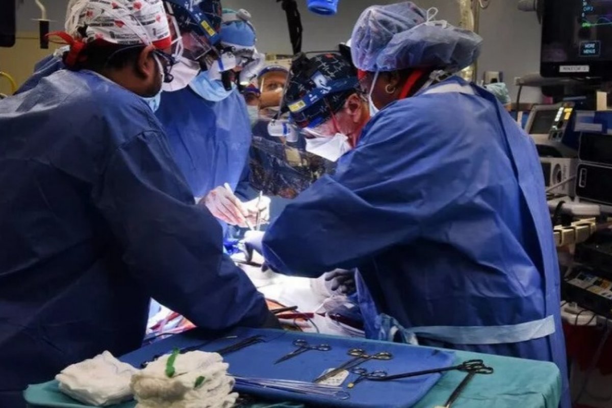 Paciente com coração de porco transplantado morreu de insuficiência cardíaca, esclarece médicos