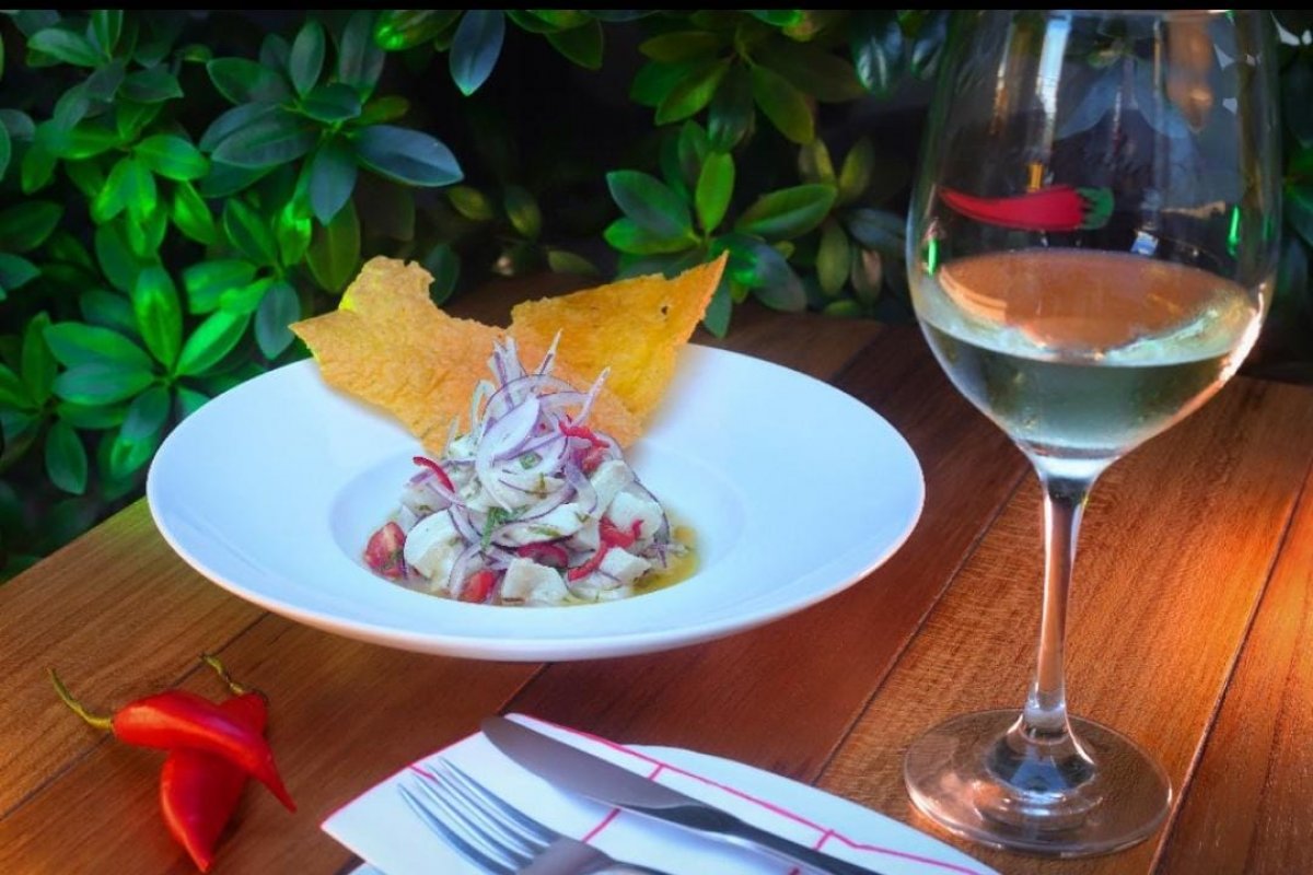 Festival Tempero Bahia celebra os vinhos brasileiros em agosto! 