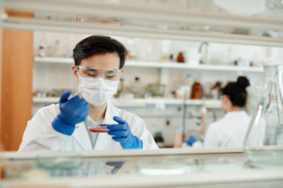Mecanismo pode impedir metástase do câncer de pâncreas, afirmam cientistas 