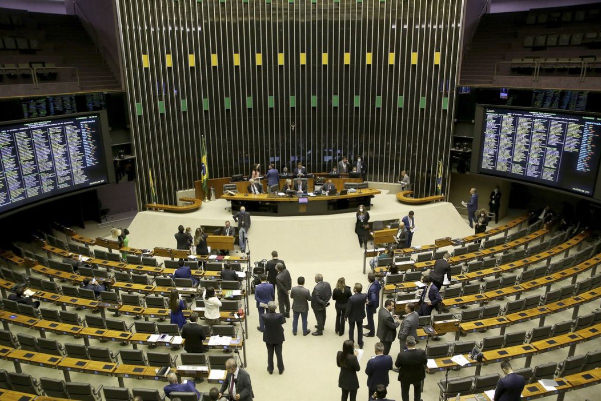 Votação da Lei de Cotas fica para o 2º semestre após resistência do PP e PL