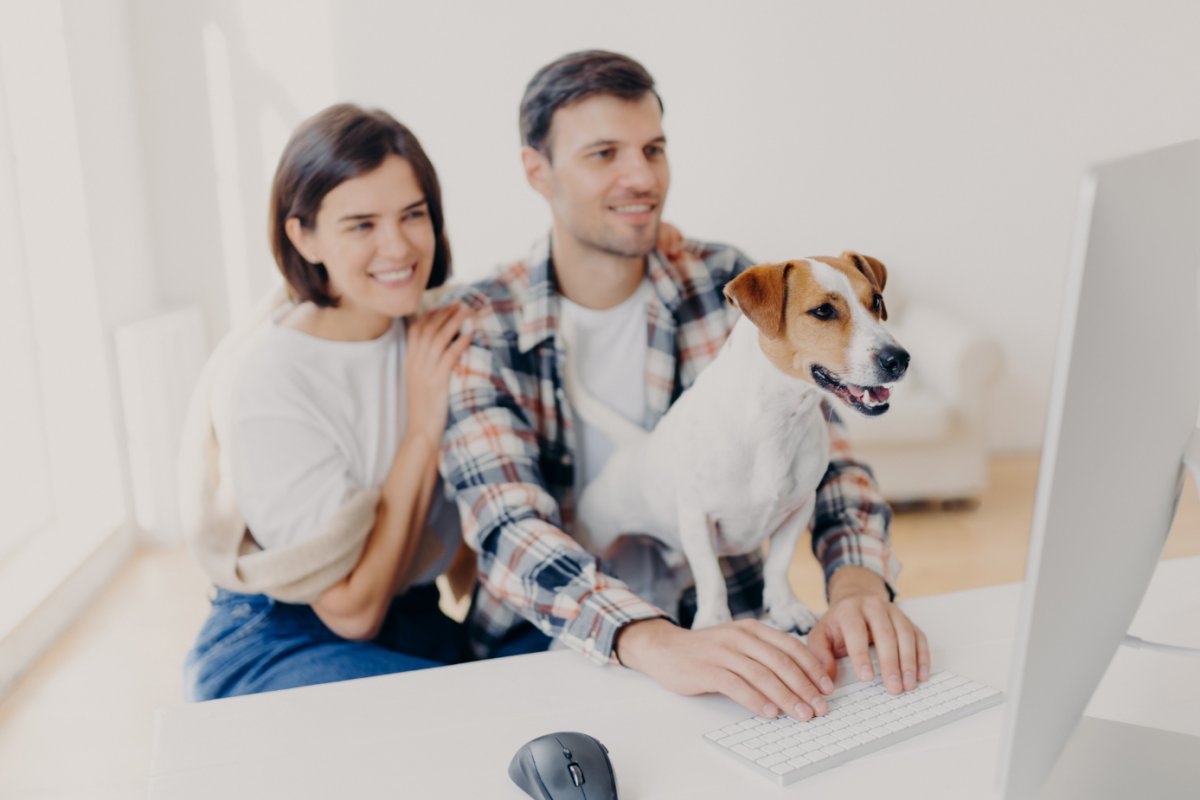 Telemedicina veterinária: um novo jeito de cuidar do seu pet! 