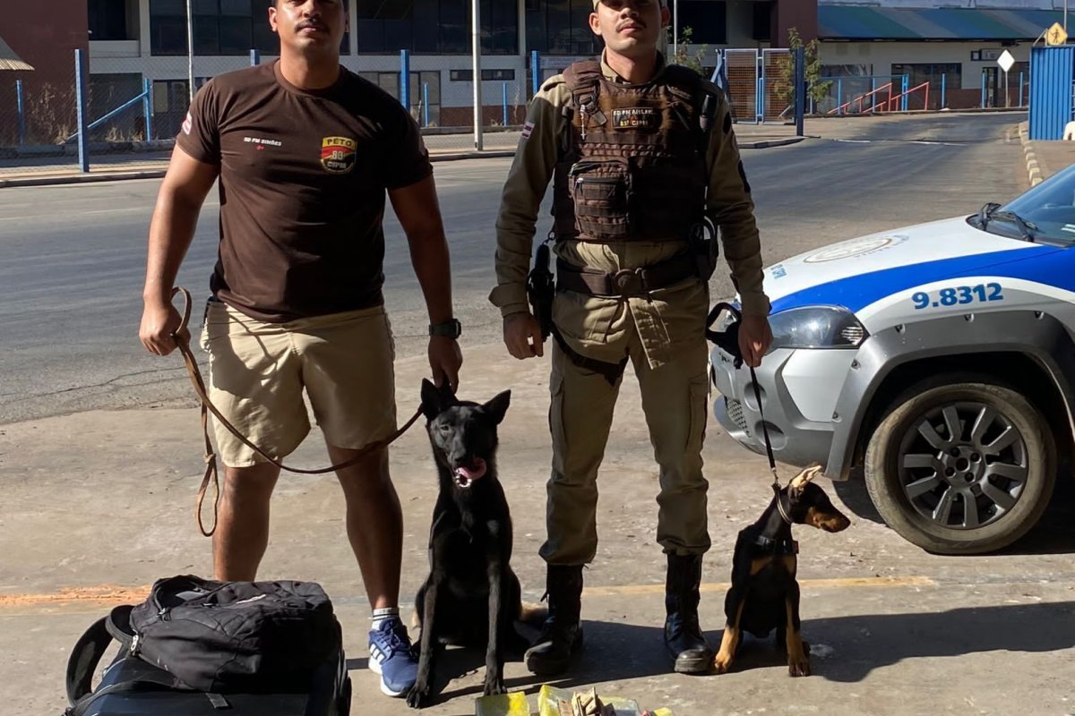 Cadela policial encontra dez quilos de maconha que iriam de Barreiras para o Piauí 