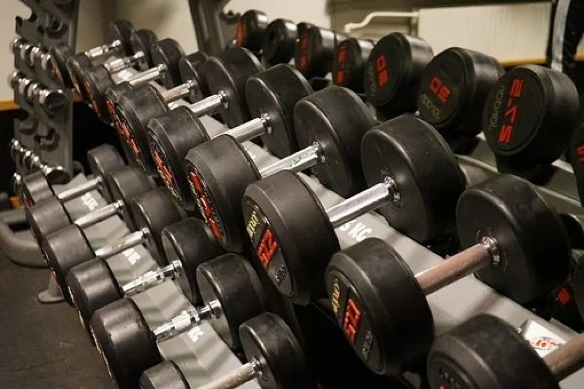 Cientistas descobrem gene associado ao ganho de força muscular durante exercícios