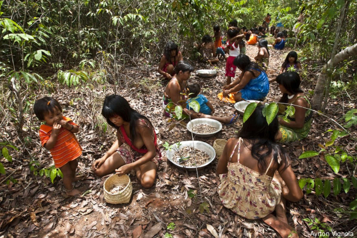 Projetos de comunidades indígenas do Brasil ganham Prêmio Equador 2022