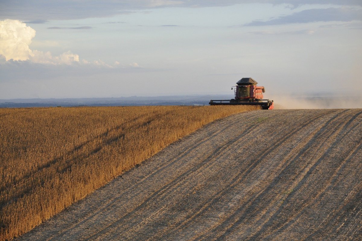 Na Bahia, produção de grãos se mantém estável e prevê valor 8,2% maior que em 2021