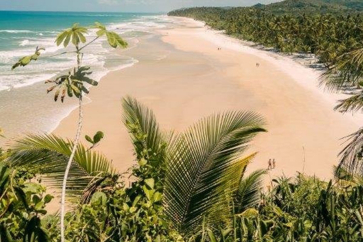 Txai Resort Itacaré oferece vista privilegiada para observar baleias jubarte no sul da Bahia! 