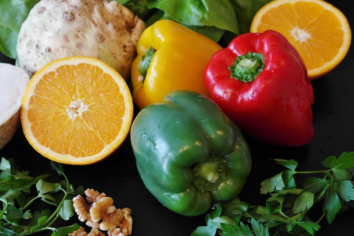 Sociedade Vegetariana Brasileira divulga 'Carta-compromisso' para candidatos às eleições