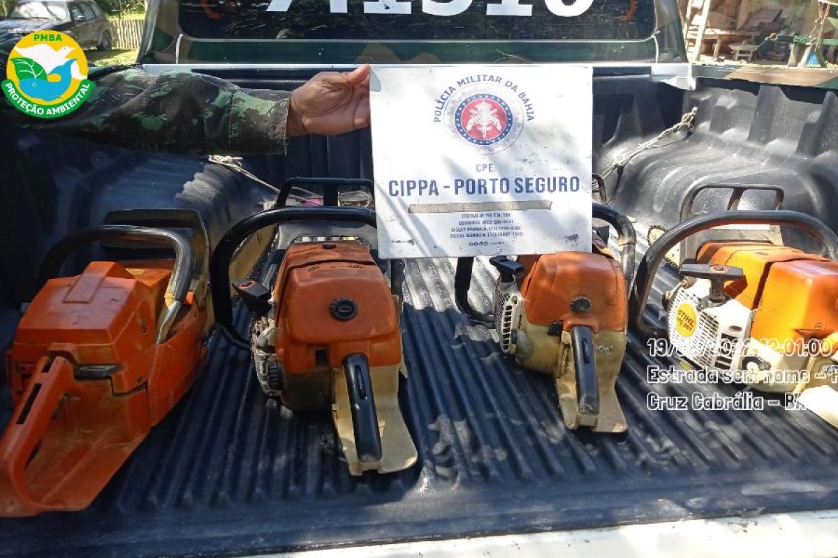 Cippa de Porto Seguro recupera cargas de madeiras nativas da Mata Atlântica