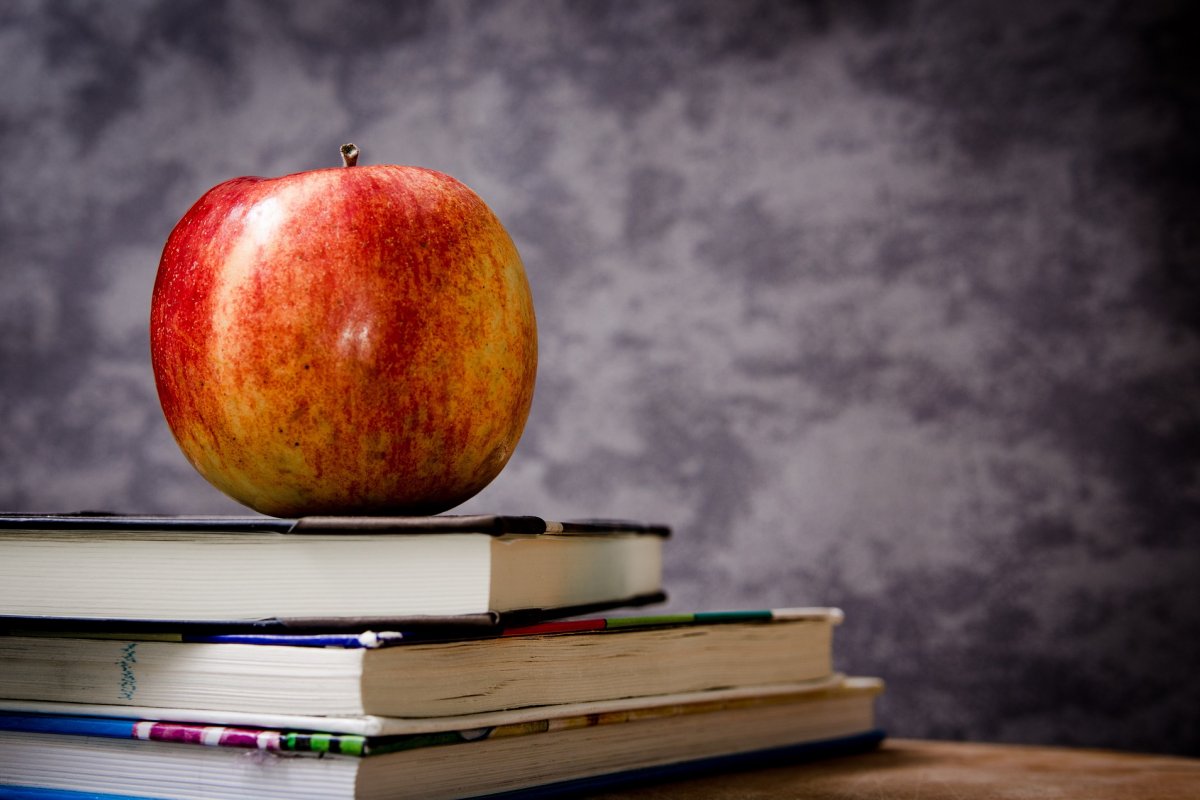 Parlamentares de Goiás aprovam projeto que proíbe "ideologia de gênero" nas escolas