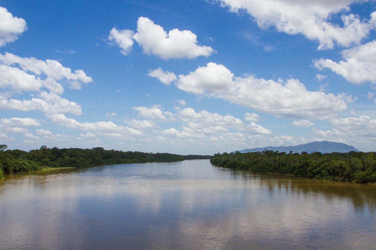 Garimpo ilegal em terra Yanomami contamina peixes de rios em RR, diz estudo