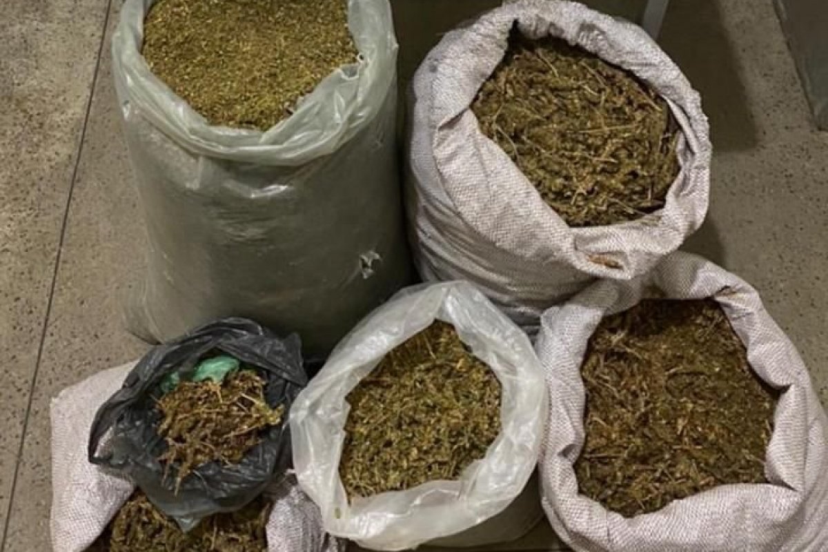 PM apreende 50 kg de maconha em operação no norte da Bahia