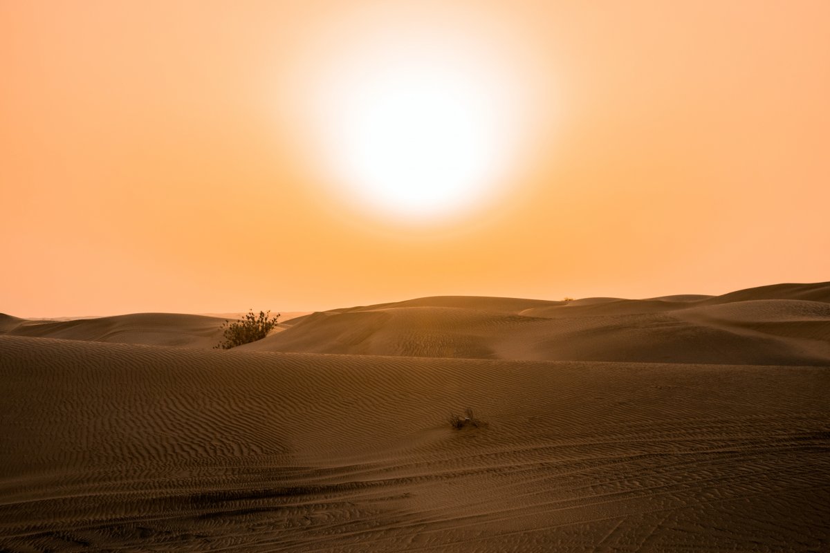 Aumento do calor extremo está afetando nosso bem-estar e pode piorar, aponta estudo