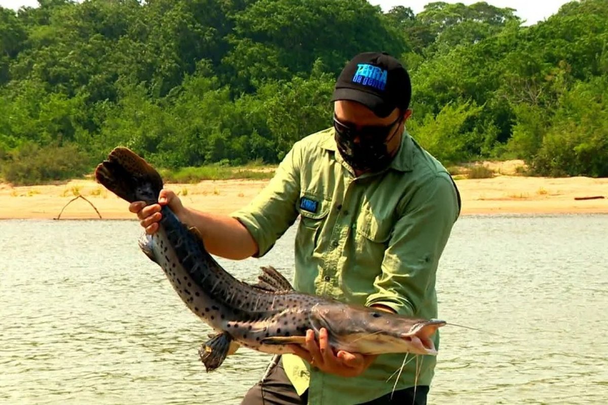 Pesca do pintado será proibida a partir de dezembro no Brasil
