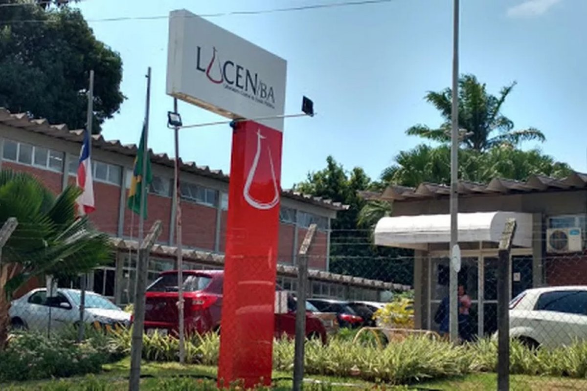 Nova cepa da dengue é identificada pela primeira vez na Bahia