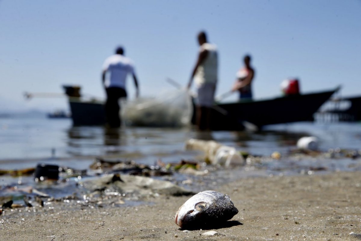 Pescadores afetados pelo óleo podem fazer cadastramento para serem recompensados