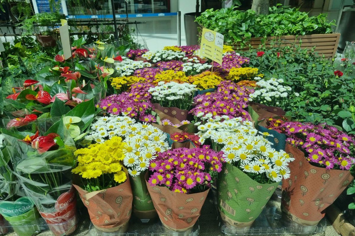 Primavera inicia no Shopping Bela Vista com Feira de Flores de Holambra 