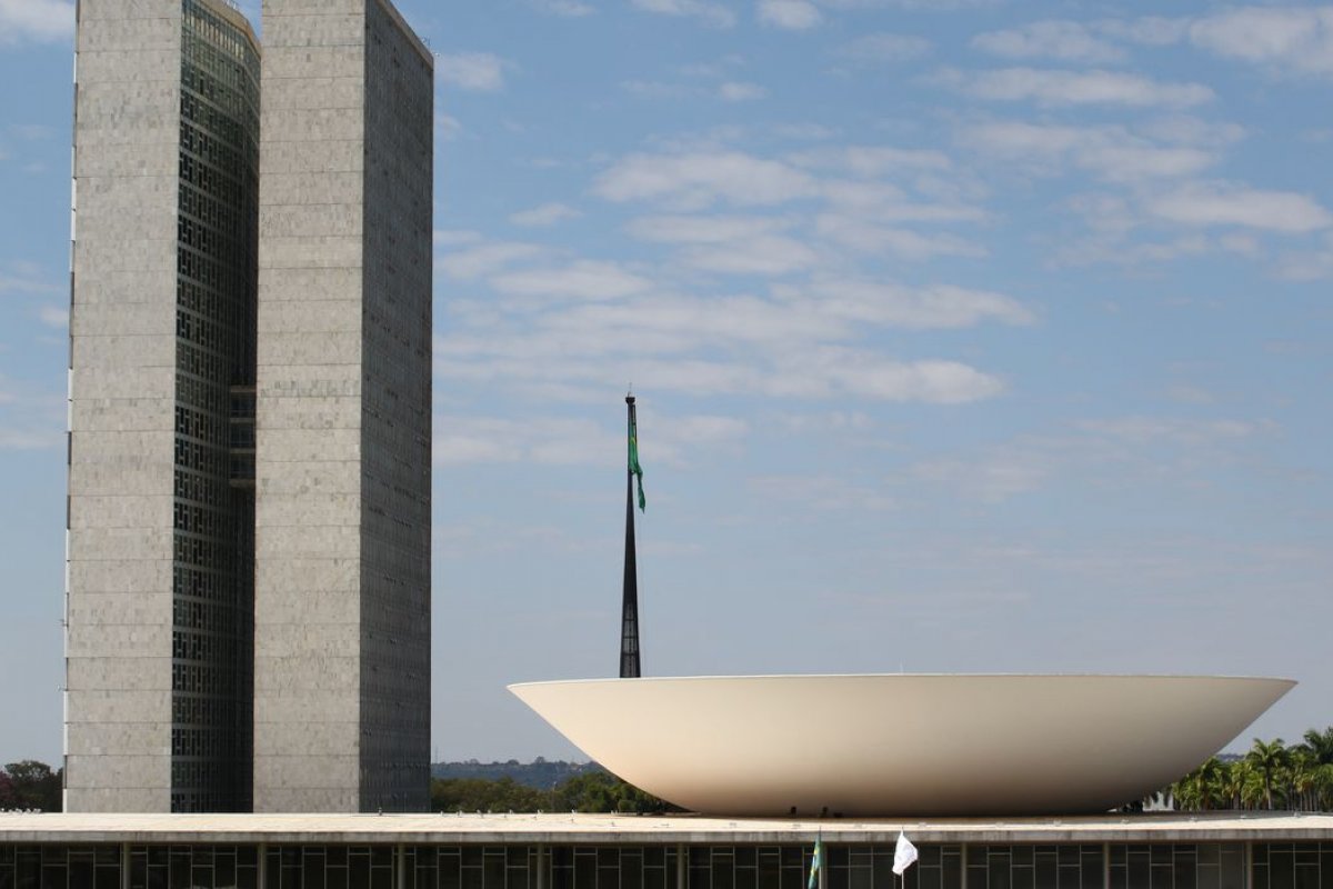 Eleições 2022: 25 dos 513 deputados federais se elegeram com os próprios votos