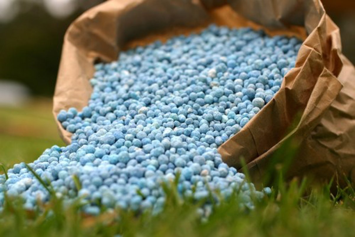 Agricultores no Brasil evitam novas compras de fertilizantes 