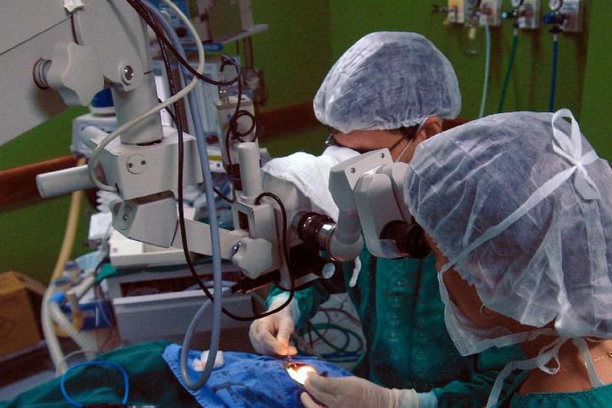 Brasil é o segundo país que faz mais realiza transplantes no mundo