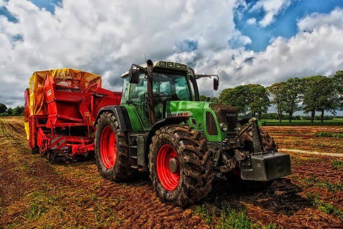 Bahia tem o 7º maior crescimento absoluto da área agrícola no país