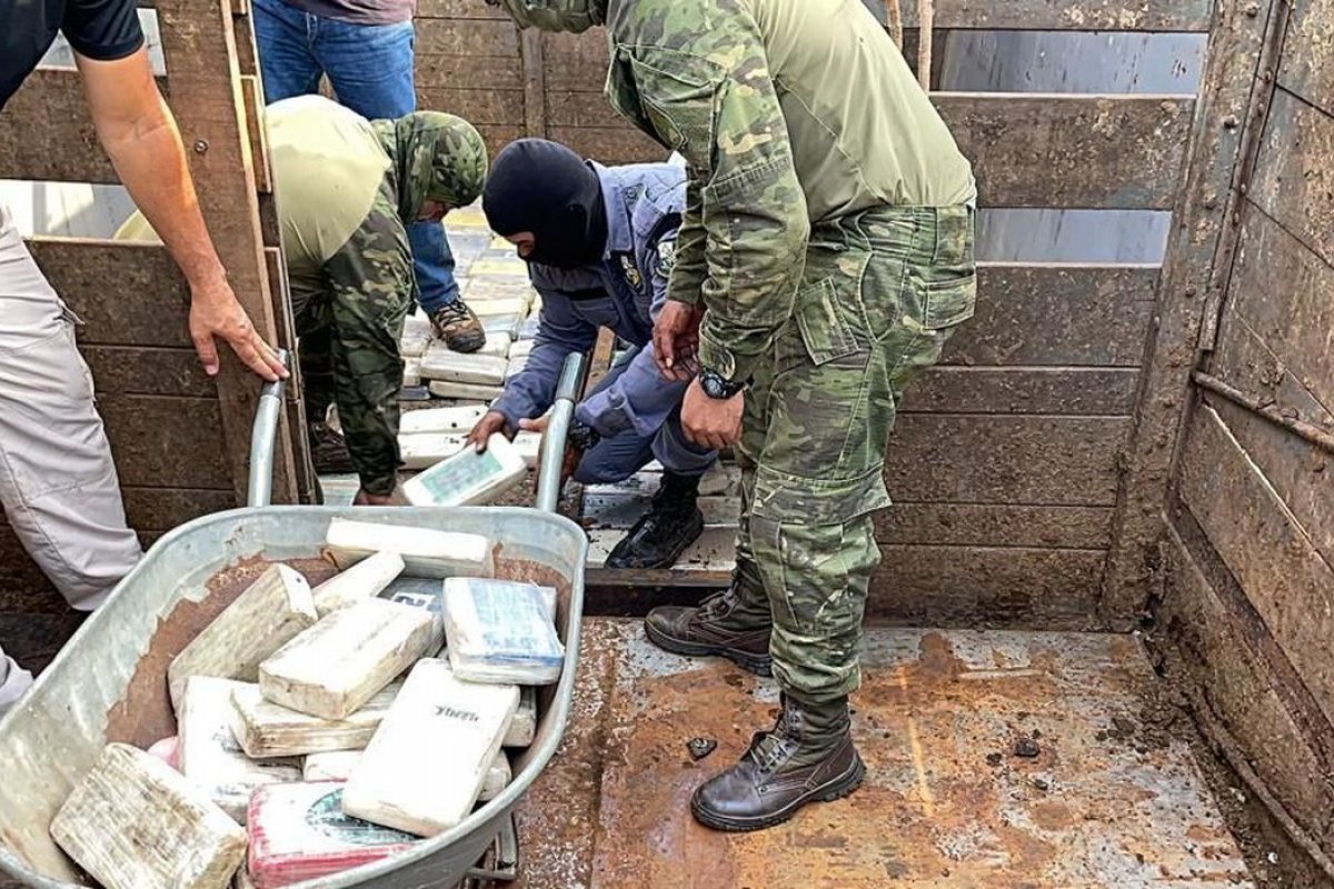PF já apreendeu 72 toneladas de cocaína no Brasil em 2022