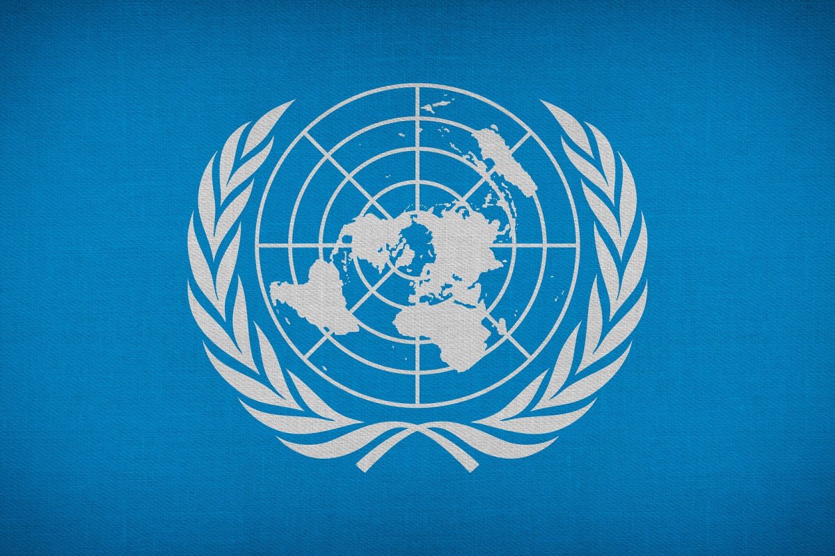 ONU solicita investigação após cena de 92 migrantes nus na fronteira de Turquia com Grécia