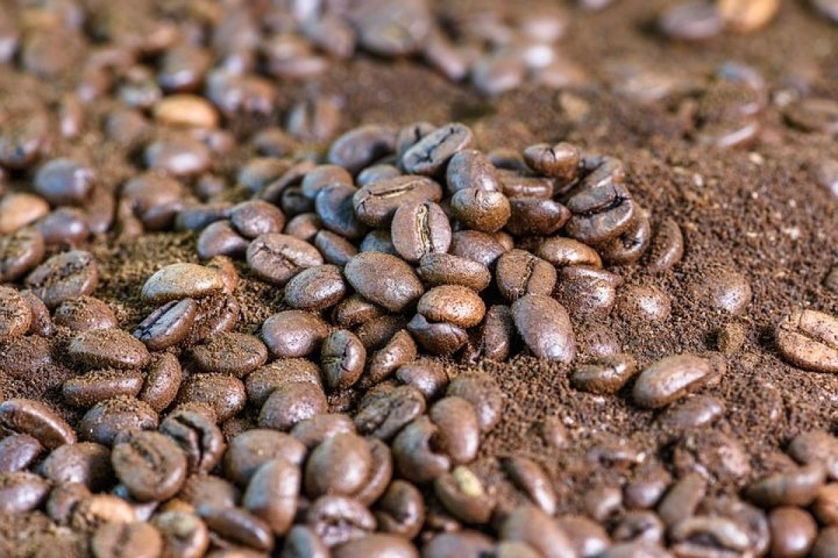 Exportação de café soma 3,4 milhões de sacas em setembro, aponta relatório