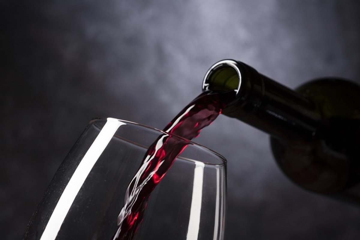Vale do São Francisco recebe reconhecimento de Indicação Geográfica para vinhos