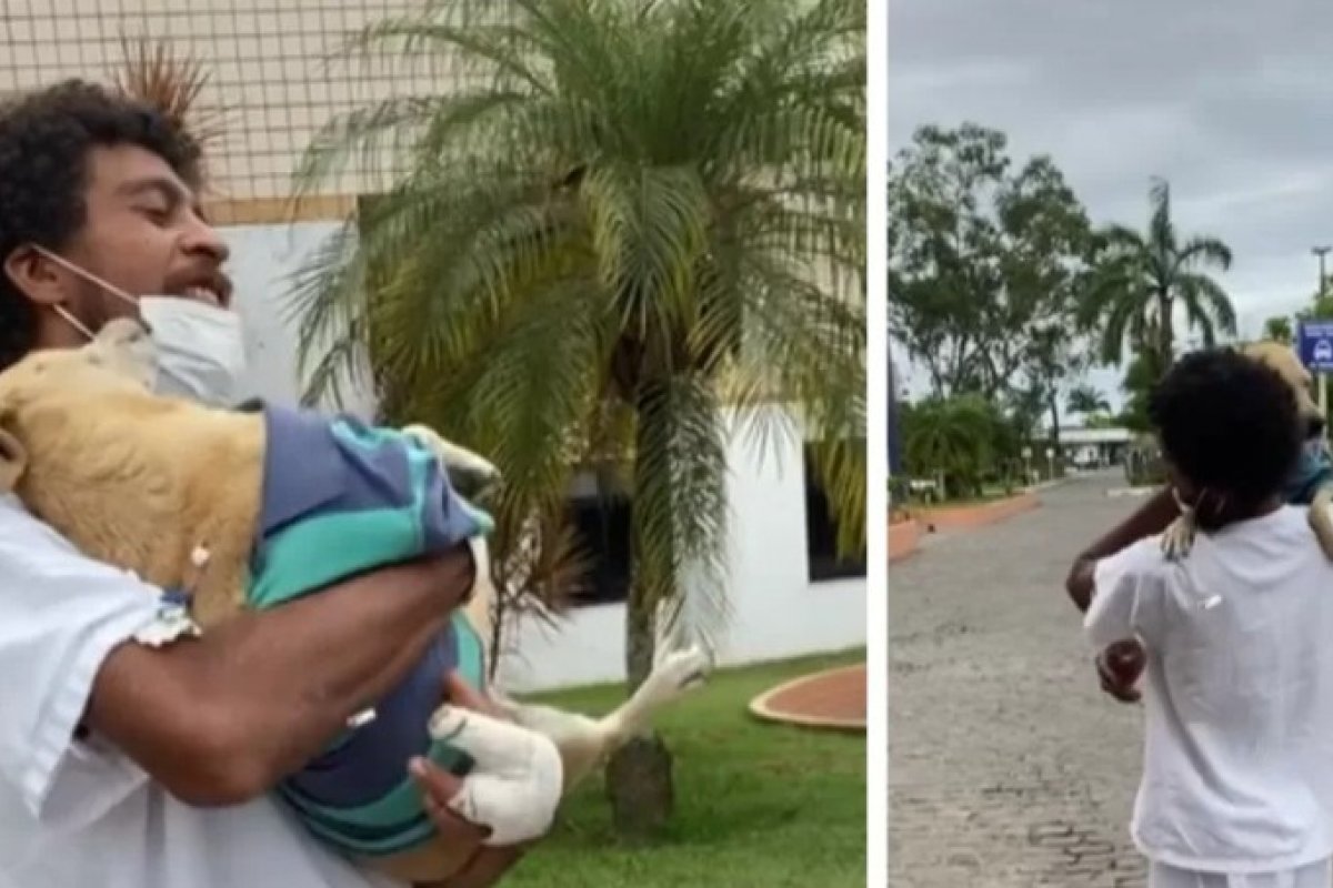 Cadela reencontra dono após 20 dias em hospital no recôncavo da Bahia 