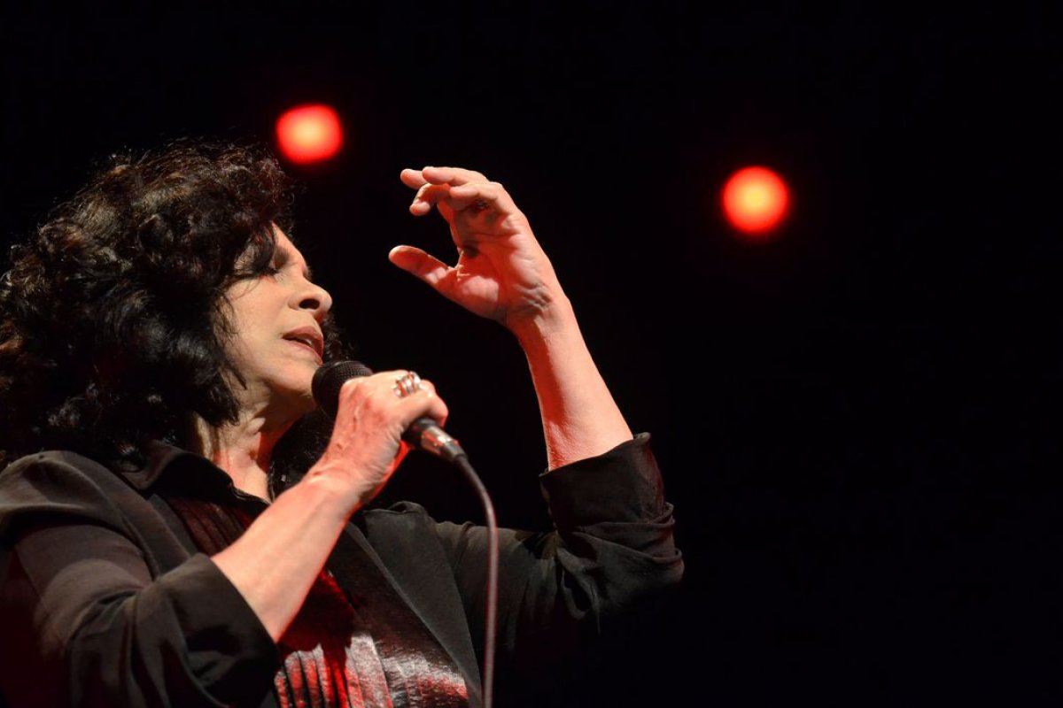 Gal Costa: saiba quanto vale herança da cantora e quem vai ficar com fortuna