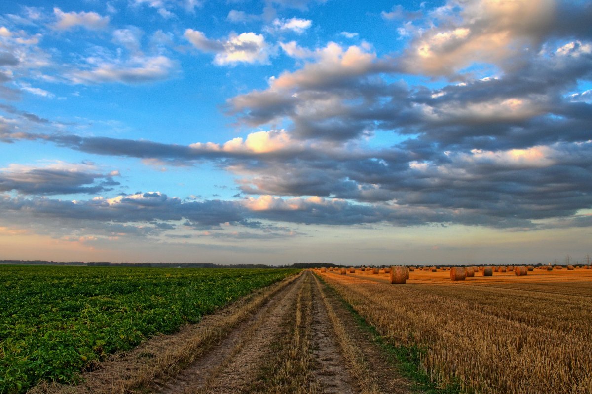 Governo diz que valor bruto de produção agropecuária no Brasil, deve crescer em 3% em 2023