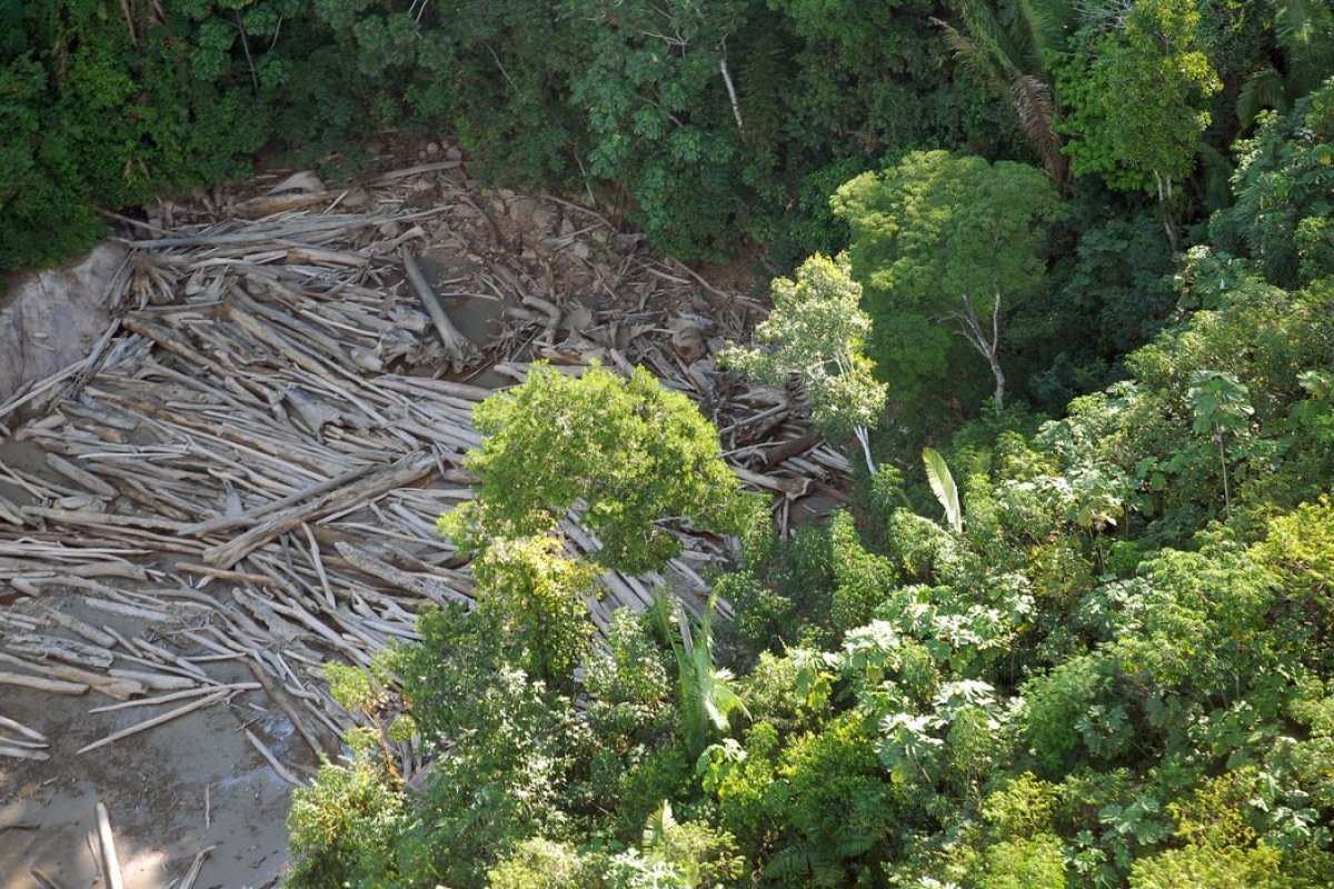 Comissão da Câmara aprova PL que permite exploração de áreas de vegetação nativa