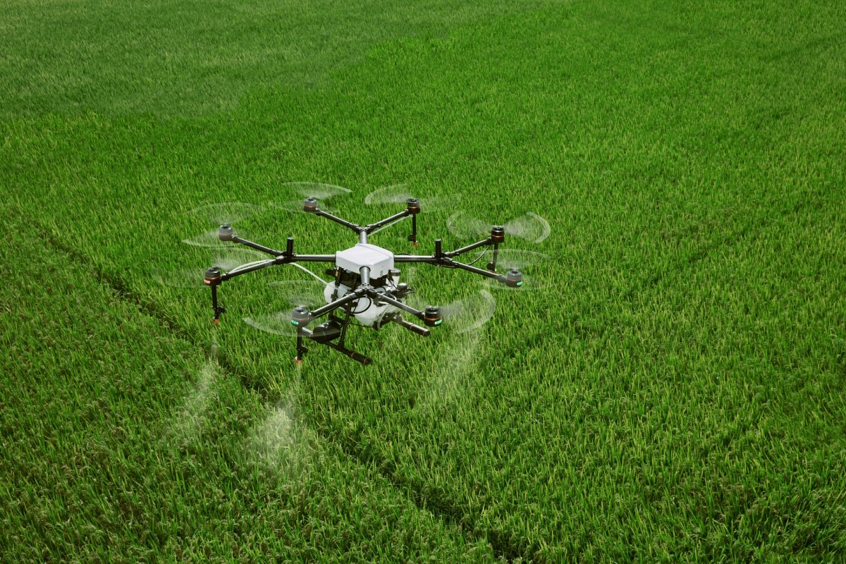 Investimento em startups do setor agropecuário cresceu 85% em 2021