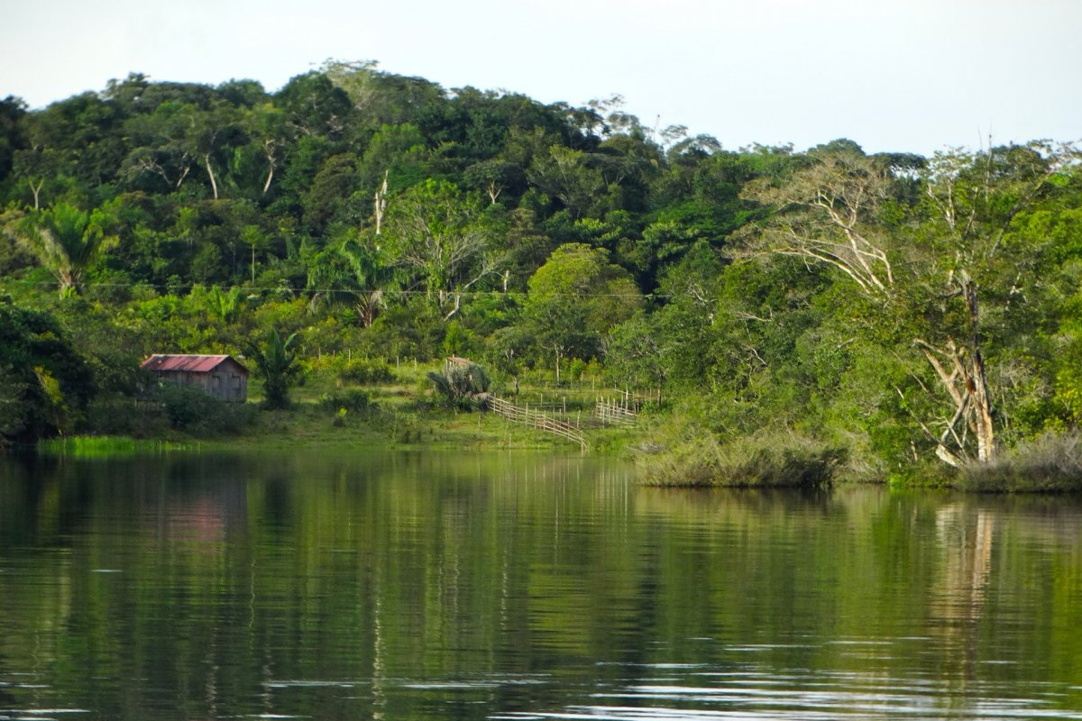 Ex-ministro do Meio Ambiente afirma que Fundo Amazônia pode obter US$ 80 bi em 2 anos
