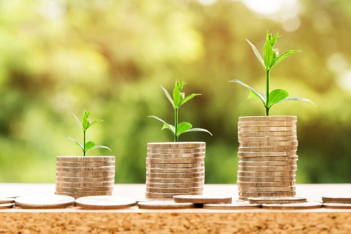 Brasil já responde por 10% dos empregos verdes no mundo