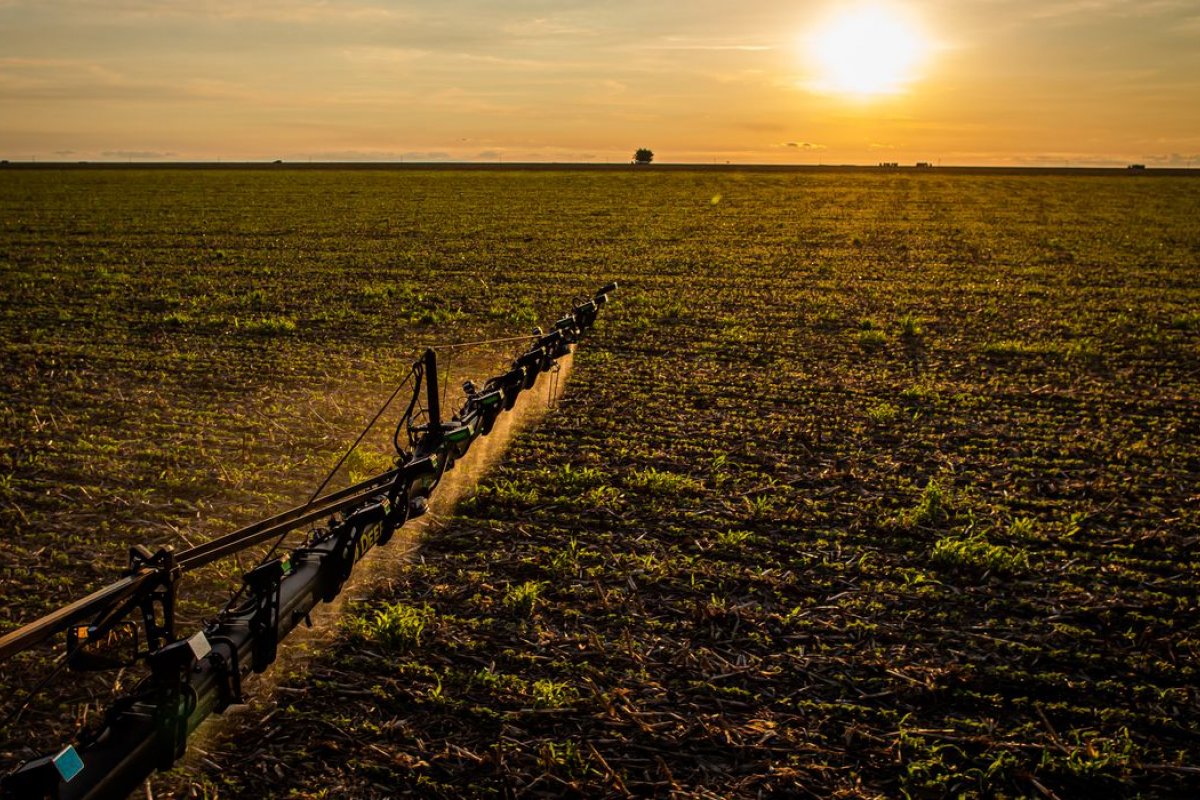 Mais de 30% dos solos brasileiros têm potencial natural para a agricultura