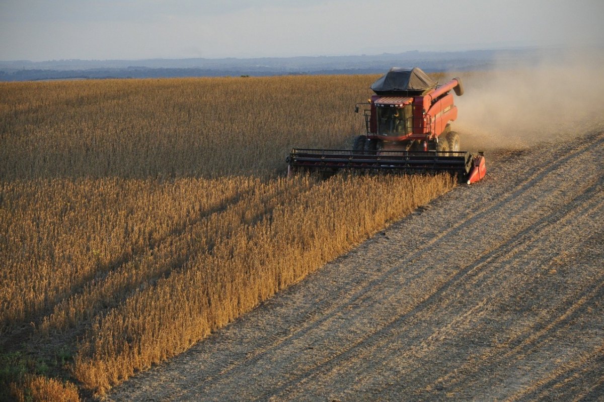 Agronegócio brasileiro deve registrar alta de 11,8% na produção e safra recorde em 2023