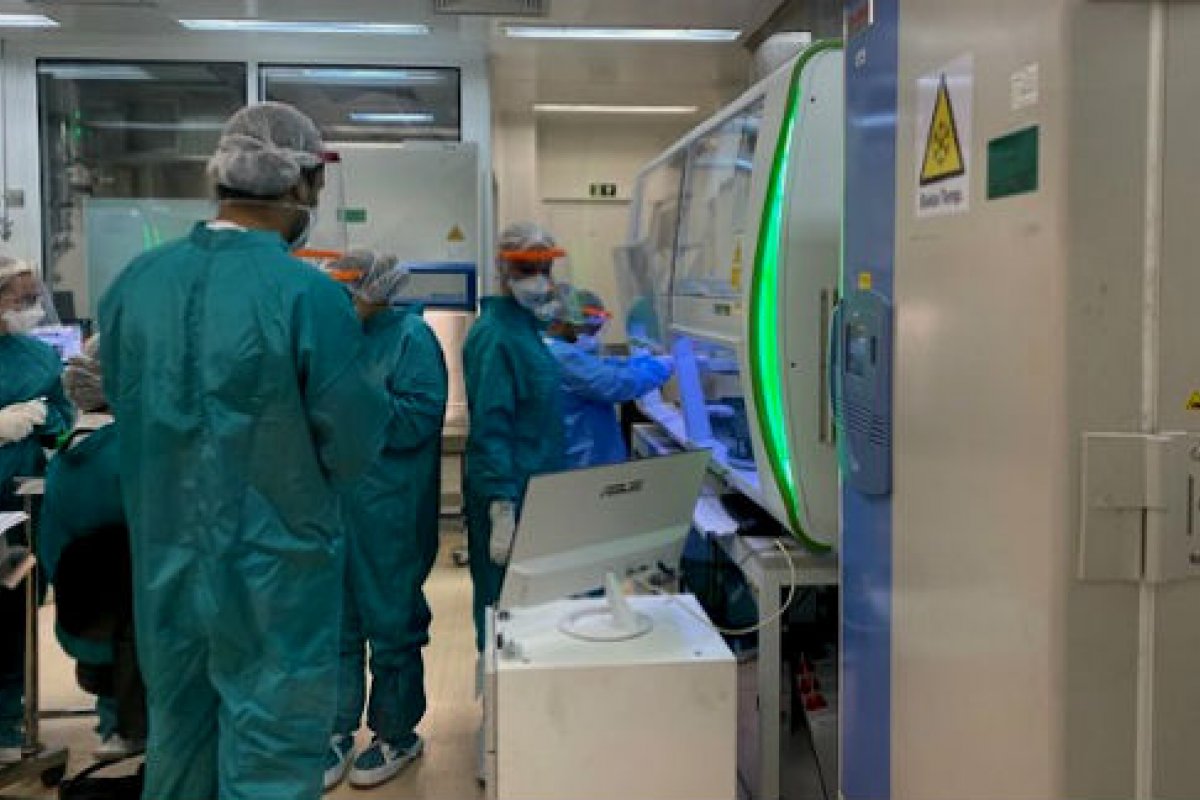 Covid-19: procura por testes rápidos quadruplica em farmácias de todo o Brasil