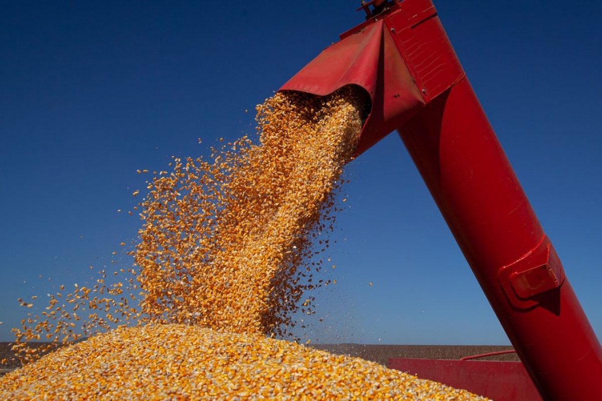 Produção de grãos na Bahia deve crescer 8,2% em 2022, aponta pesquisa
