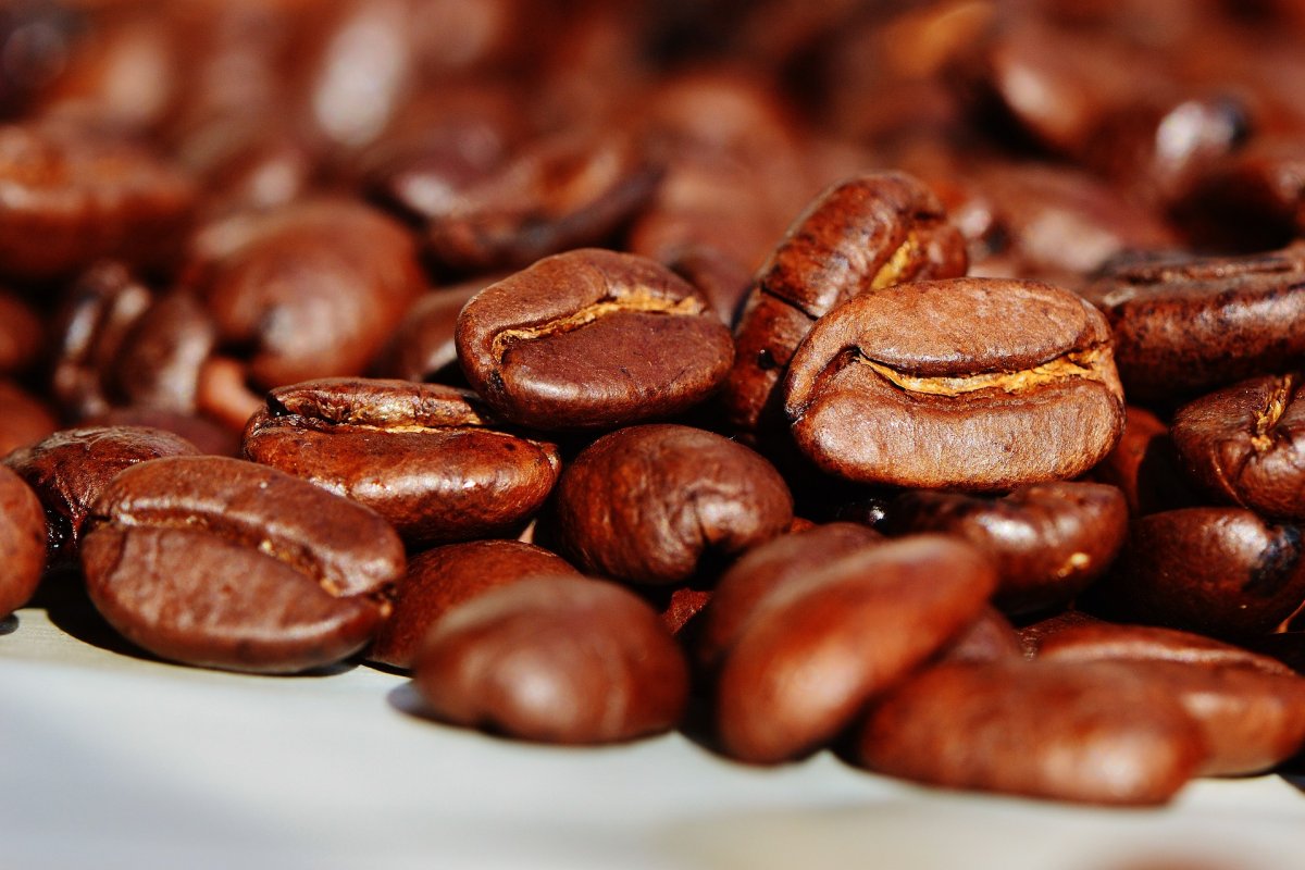 Em novembro, exportação de café verde cresceu 19% no Brasil